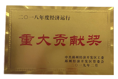 重大貢獻(xiàn)獎